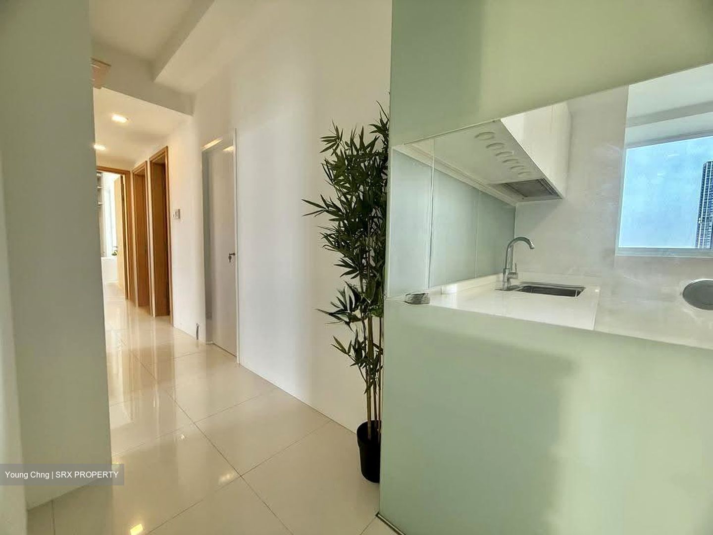 The Regency At Tiong Bahru (D3), Condominium #625457421